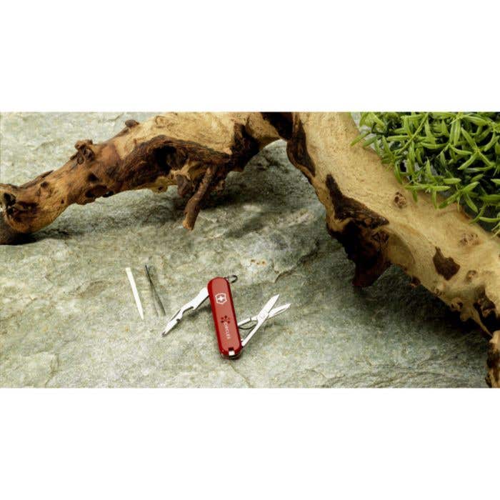 Victorinox Jetsetter tool