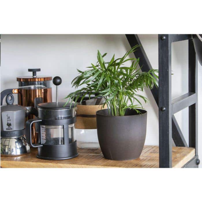 Coffee Flowerpot pot de fleurs