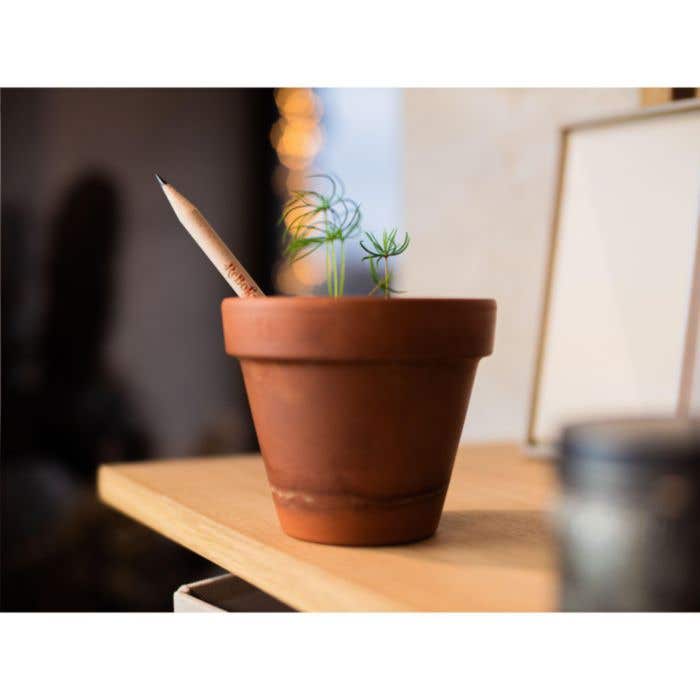Sproutworld Sharpened Pencil