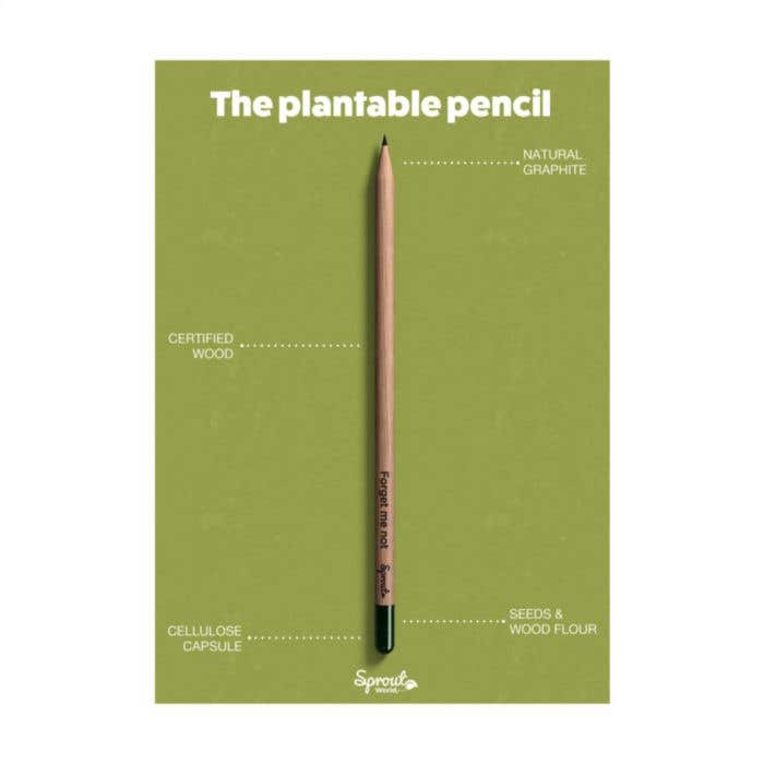 Sproutworld Unsharpened Pencil