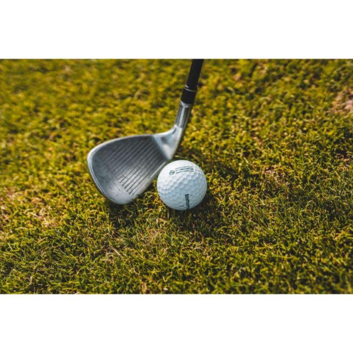 tomorrow golf Single Pack Golf Balls