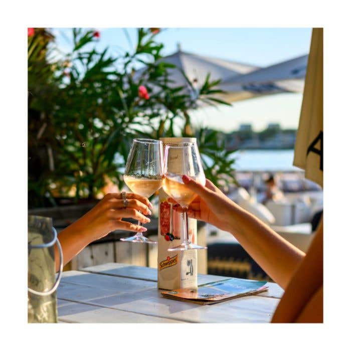 HappyGlass Lady Abigail Wine glass Tritan 470 ml