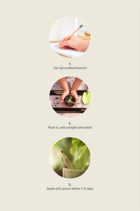 Sproutworld Set: Sharpened Pencil and Header Card