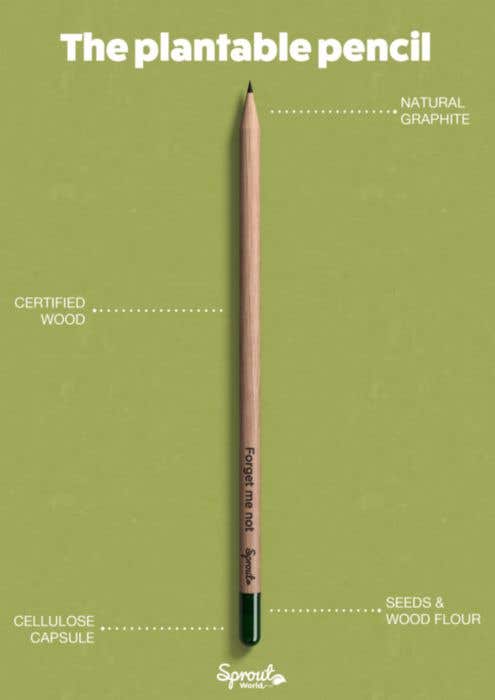 Sproutworld Set: Sharpened Pencil and Header Card