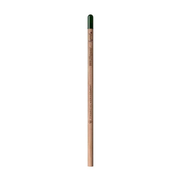 Sproutworld Set: Unsharpened Pencil and Header Card