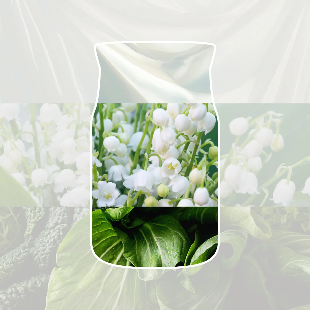 Clean_Cotton