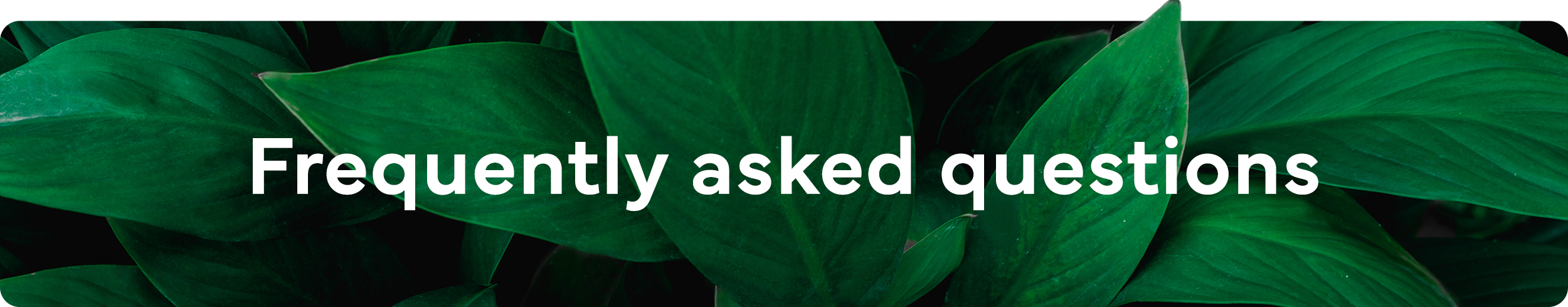 LP1_FAQ_EN_02